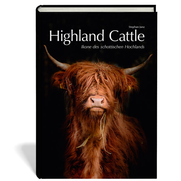 Highlandcattle-cover